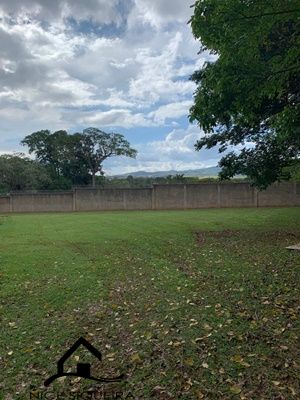 d605eee4-9ad5-43ab-b850-8eb5e74d049e