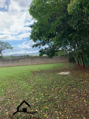 0ba991df-33d9-4e69-a814-442358c374fa