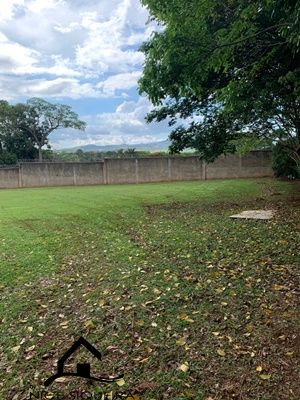 3321e35d-0bc6-4949-91cf-278d4c8f2e8d