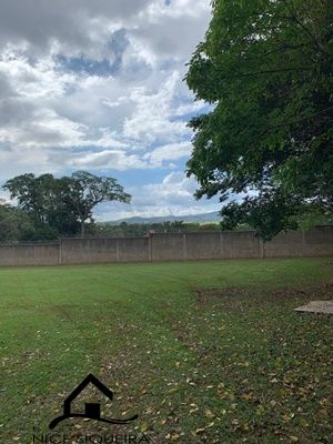 ef79874a-27cc-47c6-bc5c-cefc65d3853f