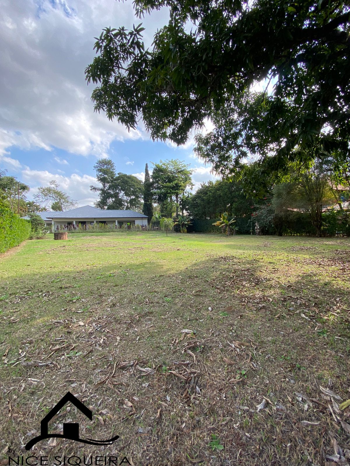 db88d329-ba70-450e-a59c-fab129cc6276