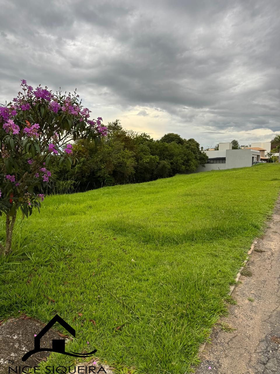 29aa9de9-db09-4b4d-aea9-ad11b980e102