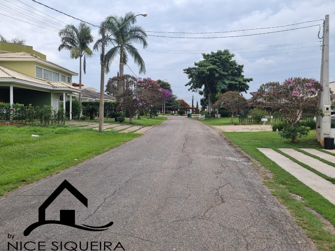 d6a1a081-7b35-4c56-b74b-f104a0a420d9