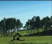 99d9e932-4578-4b2d-9b46-ff39f418663e