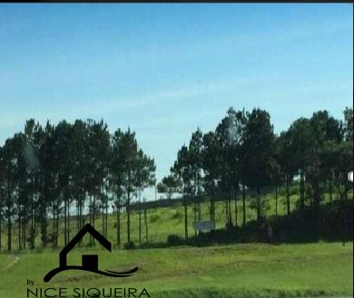 99d9e932-4578-4b2d-9b46-ff39f418663e