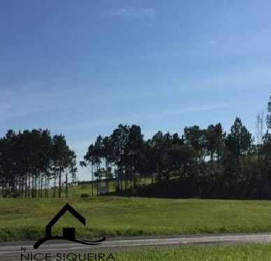 5ffa1190-cb94-4881-84c5-d81c9c7d0e21