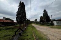 eb9591d6-b87f-4b50-9b2c-18b5d0d1fa7e