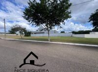 c3125d11-5697-4768-b0e4-fc414c2a0067